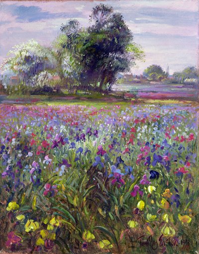 Irissen en verre meiboom, 1993 door Timothy Easton